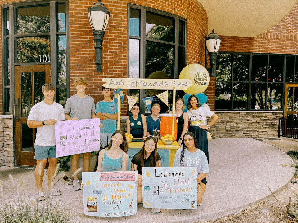 Army of Normal Folks — neighborhood lemonade stand